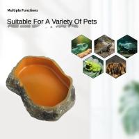 Tazón De Alimentación Para Reptiles Y Anfibios En Resina Contenedor De Alimentos Para Acuario Jaula De Tortuga Lagarto Rana - details 1