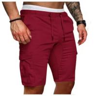 Shorts Casuales Para Diario Viaje Pantalones De Hombre Estilo Regular Cintura Media Polyester Primavera Verano Con Bolsillos - details 42
