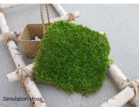 Carpetas De Moss Artificial De Hierba Verde Para Decoración De Jardín Interior Y Exterior Tapete De Piedra Falsa Para Paisajismo DIY Y Terrarios - details 2