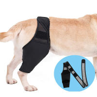 Protector De Rodilla Para Perro Recuperación De Lesiones Soporte Fijo Para Articulaciones Alivio Del Dolor Cubierta Para Pies Envoltura De Apoyo Para Piernas Accesorio Para Mascotas - details 0