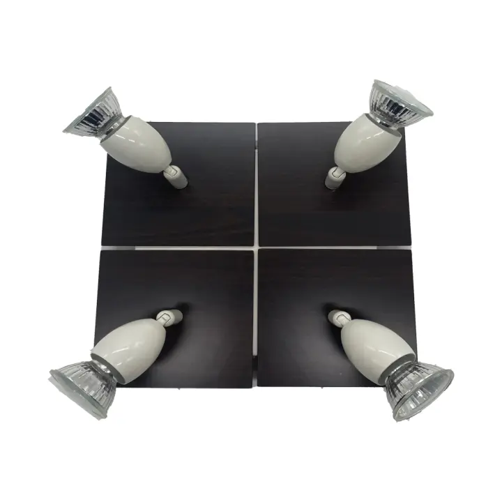LED7- Plafón de Techo Acero Inoxidable 66-GU1083-4R - Aplique de techo, Alta Eficiencia, Iluminación, Luz Interior, Luz Exterior, Luz Fría, Decoración, Ofertas de iluminación Herramientas, Tecnología de Iluminación, Lampara de techo, Electricidad, foco - 1