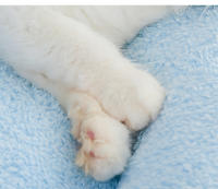 Cama De Gato Confortable De Peluche Cálida Todas Las Estaciones Tunnel Semi-Abierto Bag De Sueño Domo Para Perro/Cat House - details 2