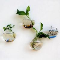 Vaso De Hierro Hidroponía Transparente Para Acuarios Pequeños En Pared Con Plantas Y Peces Juego De Decoración Para El Hogar - details 1