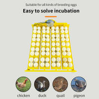 Incubador De Huevos Automático 16/24 Huevos AC220V Herramienta De Incubación Para Pollos Pájaros Y Cochinillos En Granja - details 7