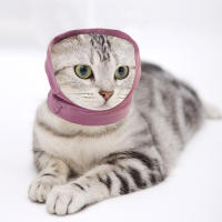Muff De Orejas Para Perros Protección Confort Para Orejas De Mascotas Alivio Del Estrés Y Ansiedad En Baño Adecuado Para Perros Y Gatos - details 4
