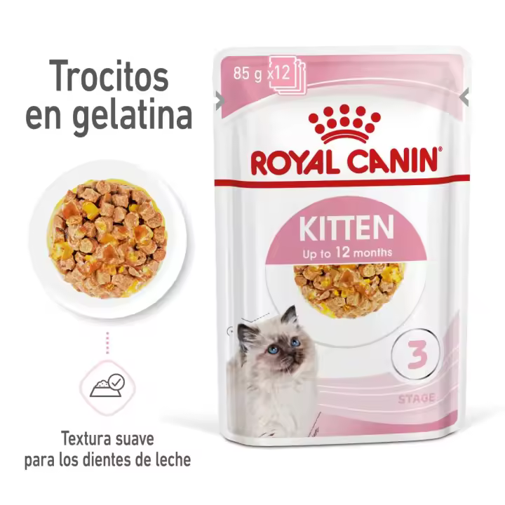 ROYAL CANIN  FELINE KITTEN GELATINA 12X85GR - 1