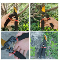 Tijeras De Jardinería Para Podar Árboles Frutales Herramienta De Poda Floral Para Recoger Frutas YOUZHI Originales De China - details 3