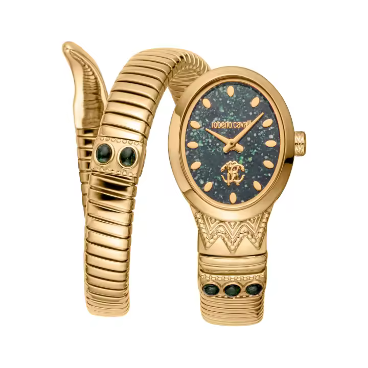 Reloj de pulsera Roberto Cavalli Roberto Cavalli Lady - RC5L104M0035 color de correa: Oro amarillo Esfera Verde botella Mujer - 1