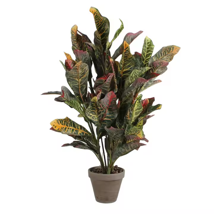 Planta Decorativa Mica Decorations Croton Verde PVC (73 x 40 cm) - 1
