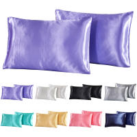 2-Piece Pure Emulation Seda Almohadilla De Seda Para Cabeza Y Cojín Cubierta De Almohada Cómoda Para Cama Tela De Seda Poliéster Microfibra Rectangular Sin Relleno - details 3