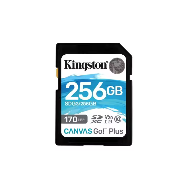 Kingston Canvas Go Plus SDXC 256GB UHS-I U3 V30 Clase 10 - 1