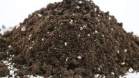 ✅ Perlita para plantas de VLC Horticultura 100L con calidad superior y beneficios extraordinarios para un crecimiento óptimo de tus flores y plantas - details 2