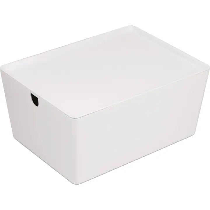 Confortime - Caja de Ordenación Multiusos con Tapa 35x26x16cm, Compartimentos Modulares - Versátil y Duradera - 1