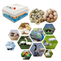 Incubador De Huevos De 20 Unidades Automático Para Ponedero Doméstico Apto Para Pollos Gansos Pato Y Otros Pájaros Material Plástico - details 3