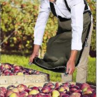 Bolsa de recogida de frutas Delantal de recogida de bolsa de recogida de huerto - details 0
