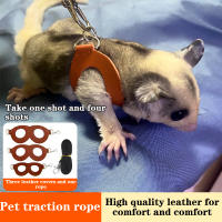 Correa Para Pequeños Mascotas 4Pcs Cuerda Antideslizante Para Hamster Ardilla Anti Mordedura Resistente Al Viento Correa Especial Antipérdida Para Sugar Glider - details 0