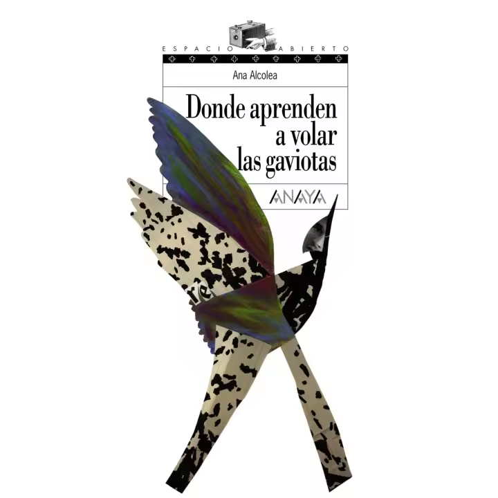 Donde aprenden a volar las gaviotas Alcolea, Ana - 1