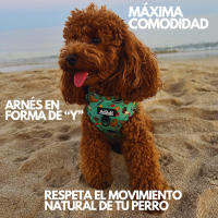 Arnés Premium para perro antitirones ajustable marca Aribabi – Colección Cookies - details 1