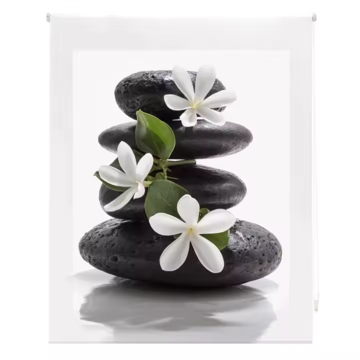 HAPPYSTOR  Estor Enrollable Traslúcido Estampado Digital Zen HSCZ94008 - 1
