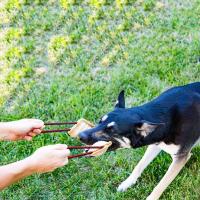Calcetín de mordedura de perro de yute, juguete de mordedura de perro extra resistente, juguetes interactivos para perros medianos a grandes, ideal para tira y dura de la guerra - details 1
