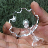 Tanque De Acuario Transparente Alimentador De Peces Y Camarones Círculo De Alimento De Vidrio Fleeting Para Sujeción En La Base - details 18