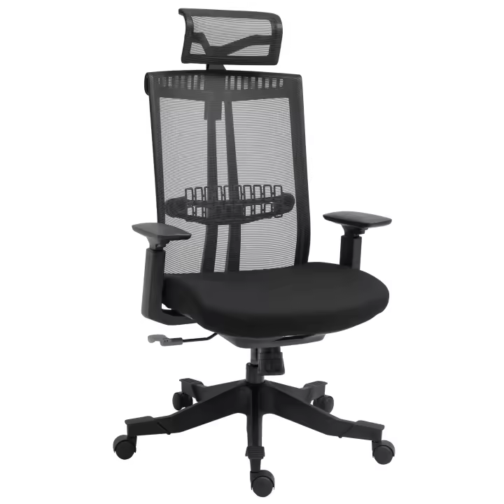 Vinsetto Silla de Oficina Ergonómica Silla de Malla Giratoria y Reclinable con Altura Ajustable Reposabrazos Reposacabezas y Soporte Lumbar Regulable 66,5x66x109-118 cm Negro - 1