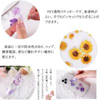 Set de 160 Pegatinas Decorativas Transparentes de Flores y Plantas – Stickers Creativos para Collage, Scrapbooking, Cuadernos, Botellas de Cristal y Manualidades – Sello de Copos con Gran Capacidad - details 2