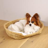 Cesta cama perros, gatos, mascotas - Cesta caña natural para animales pequeños, ovalada 37 x 26 cm - details 0