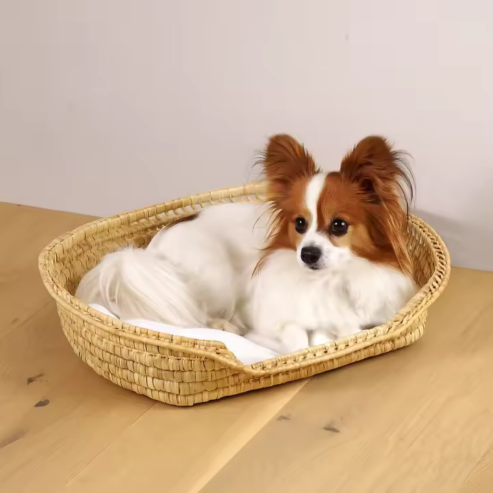 Cesta cama perros, gatos, mascotas - Cesta caña natural para animales pequeños, ovalada 37 x 26 cm - 1