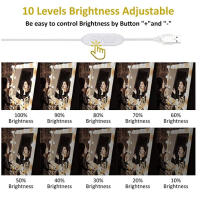 Espejo De Maquillaje LED Con Luces De Batería Recargable USB Para Vestíbulo Iluminación Ajustable Para Baño Y Mesa De Vestir - details 10