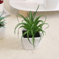 Mini Plantas Artificiales De Suculentas En Blanco Bonsái Set De 6 Piezas Para Decoración De Escritorio Y Ventana Interior - details 7