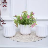 3PCS Maceta Redonda Vertical Estripada De 10.5x9.5CM Para Habitación Sala De Estar Balcon Hotel Frontal Textura Blanca Transparente - details 5