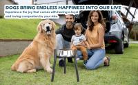 Soporte Ajustable De Metal Para Comida De Perro Grande Y Extra Grande Sin Cuenco Incluido Accesorio Para Mascotas - details 2
