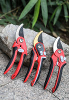 Tijeras De Jardinería Para Cortar Ramas Y Frutas Adecuadas Para Podar Árboles De Fruta Y Flores Herramienta De Orquidario - details 13