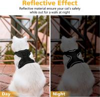 Correa De Tracción Para Gatos Transpirable Con Ajuste Y Antideslizante Chaleco Estilo Cuerda Adelantable Ultrafino Para Verano - details 10