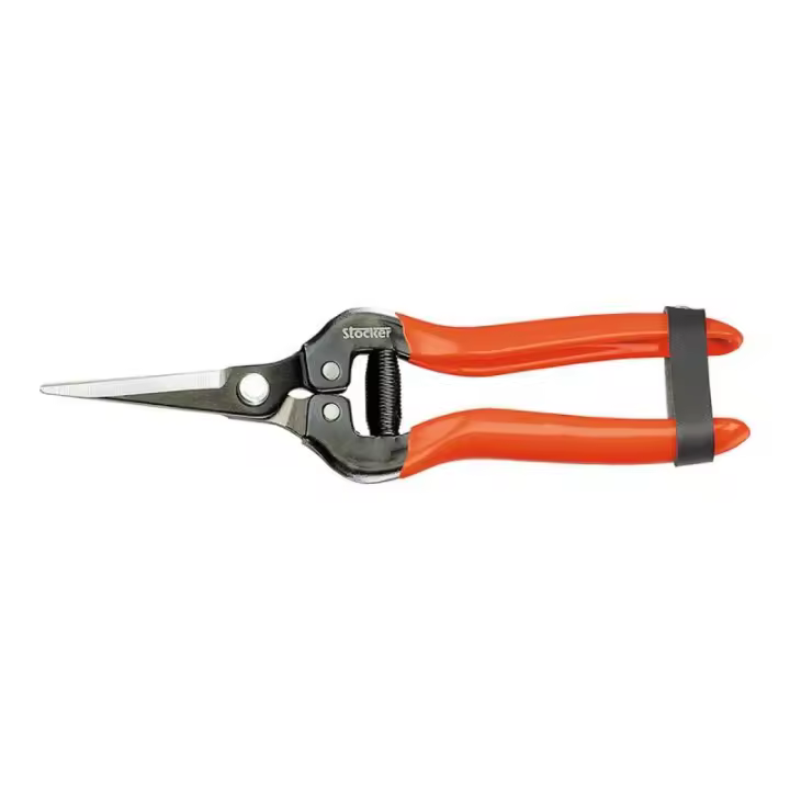 Tijera para Jardín Stocker Recolección de fruta y verdura Uvas 19 cm Acero forjado - 1