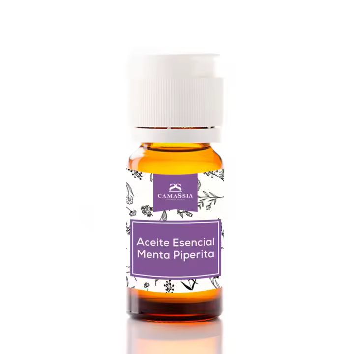 Camassia Aceite esencial menta piperita | Aceites esenciales | Mentha piperita - 100% natural y puro - 1