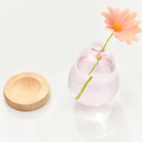 Vaso De Burbuja De Vidrio Nuevo Estilo Nórdico INS Arreglo Floral Moderno Creativo Vaso Sférico Para Decoración De Hogar Regalos De Cumpleaños - details 8