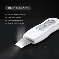 Limpieza Profunda Facial Con Scrubber De Piel Y Espátula Para Eliminar Blackheads Herramientas Para Cuidado De La Piel En Uso Doméstico - details 0