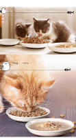 Tazón De Gato Cerámico Con Fondo De Silicona No Derrumbe Fácilmente Alimento Para Perro Y Gato Porcelana Resistente a Derrumbe Accesorios Para Mascotas - details 5
