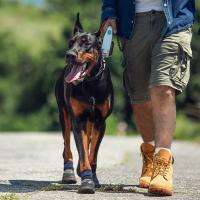 4Pcs Botas De Perro Protección De Patas Impermeables Antideslizantes Para Pequeños Medianos Y Grandes Mascotas Al Aire Libre - details 17