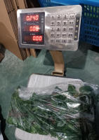 Valla Expansible Con Pantalla Retráctil De Plástico Para Privacidad Y Plantas Artificiales Estilo Vigne Colocación Pendiente - details 19