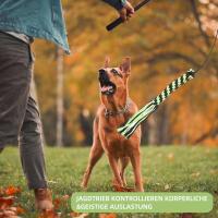 Juguete Retráctil Para Perros Con Refill De Peluche Para Masticar Y Entrenamiento Alimenticio Para Mascotas Para Exteriores Y Camping - details 7