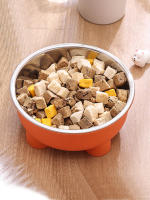 Cuenco De Acero Inoxidable Para Perros Y Gatos De Color Sólido Con Cuatro Patas Para Uso Interior Y Exterior - details 1