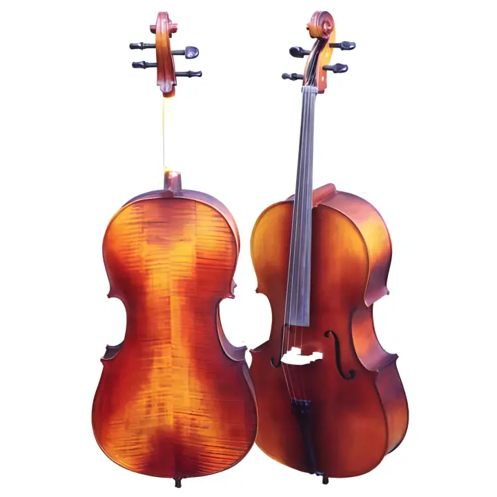VIOLONCELLO-Gaudieri (HD/C11) Estudio (Tapa Pino Abeto) Violoncello 1/4 - 1