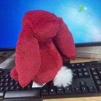 Muñeco De Peluche Jelly Cat Conejo Rojo De Navidad 30cm Juguete Interactivo Para Perros Y Gatos Suave Y Soothing Decoración Para El Hogar Regalo Para Mascotas - details 3