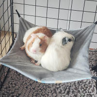 Colchón Colgante Para Hamster Hermoso Y Transpirable De Capa Sola Con Diseño Creativo De Dibujos Animados Amigable Con La Piel Suministros Para Pequeños Animales De Compañía - details 3