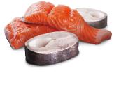 FARMINA N&D DOG OCEAN SALMON BACALAO CAJA 6X285GR / Alimento húmedo completo para perros adultos - details 0