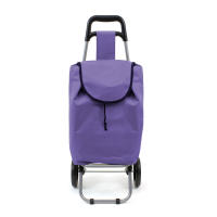 The Secret Home Carro de la Compra Plegable con Ruedas - Gran Capacidad de Almacenamiento - details 2