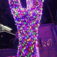 Garland De Luces De Fairy Solar LED 8 Modos Para Jardín Exterior Decoración De Navidad Boda Fiesta Lámpara De Ceniza 5/7/12/22M - details 5